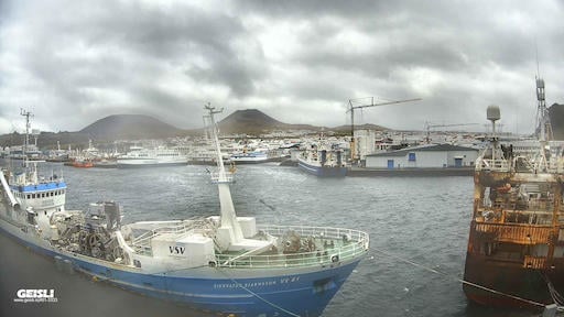 Vestmannaeyjar from harbor right now